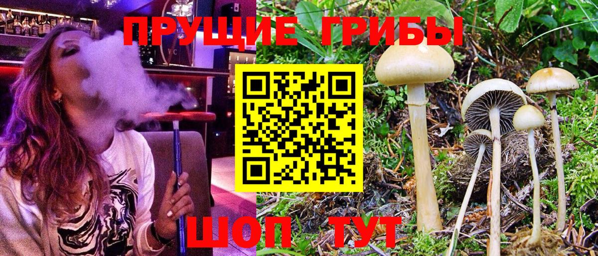 Галлюциногенные грибы MAGIC MUSHROOMS Карабулак