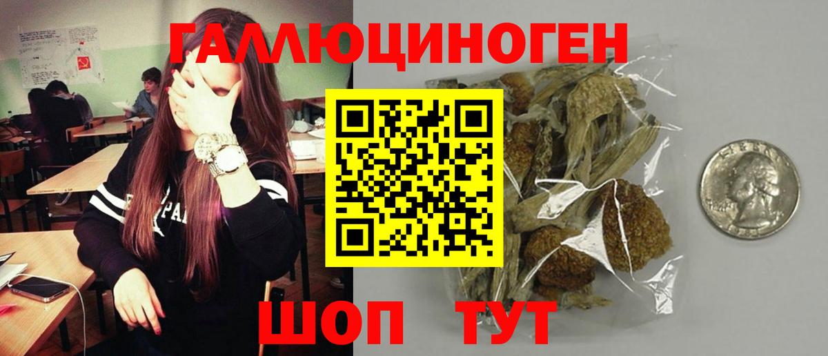 закладки  Псилоцибиновые грибы мицелий  Вход с VPN  Карабулак  Галлюциногенные грибы Cubensis 